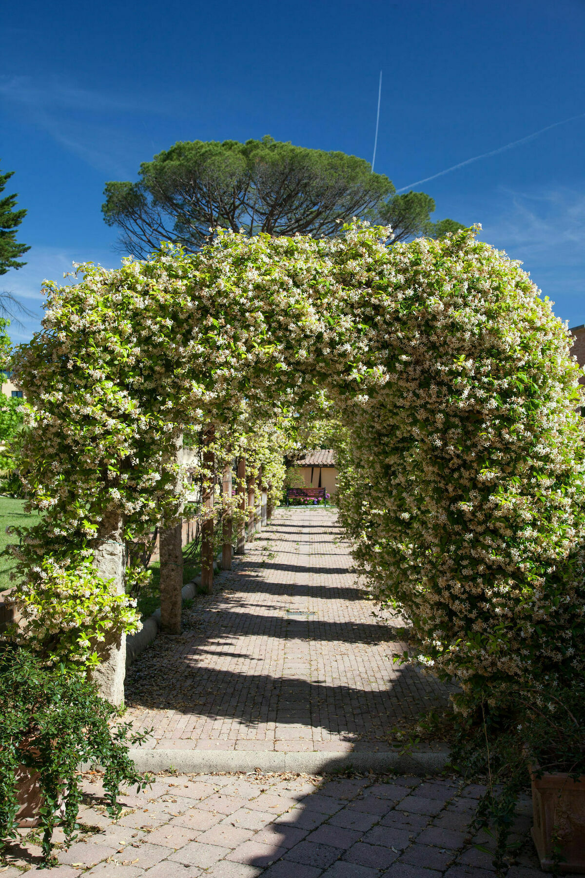 Villa Borri Casciana Terme Kültér fotó